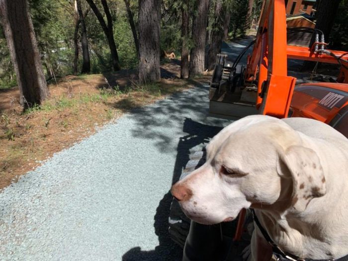 Driveway Repair with Zap Haul and Marley