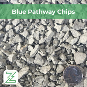 Blue Pathway Chips