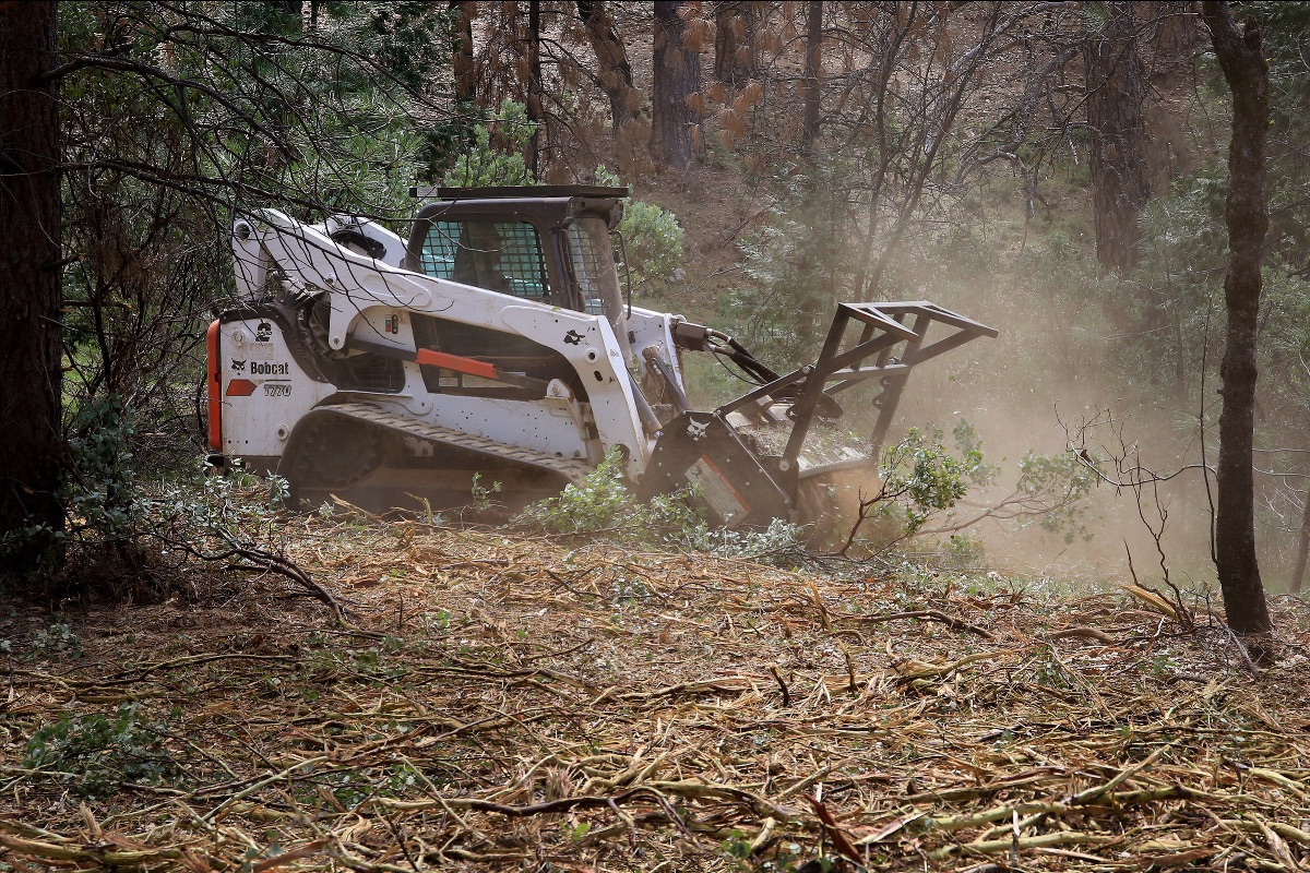 Land Clearing