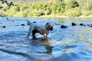 Marley_water