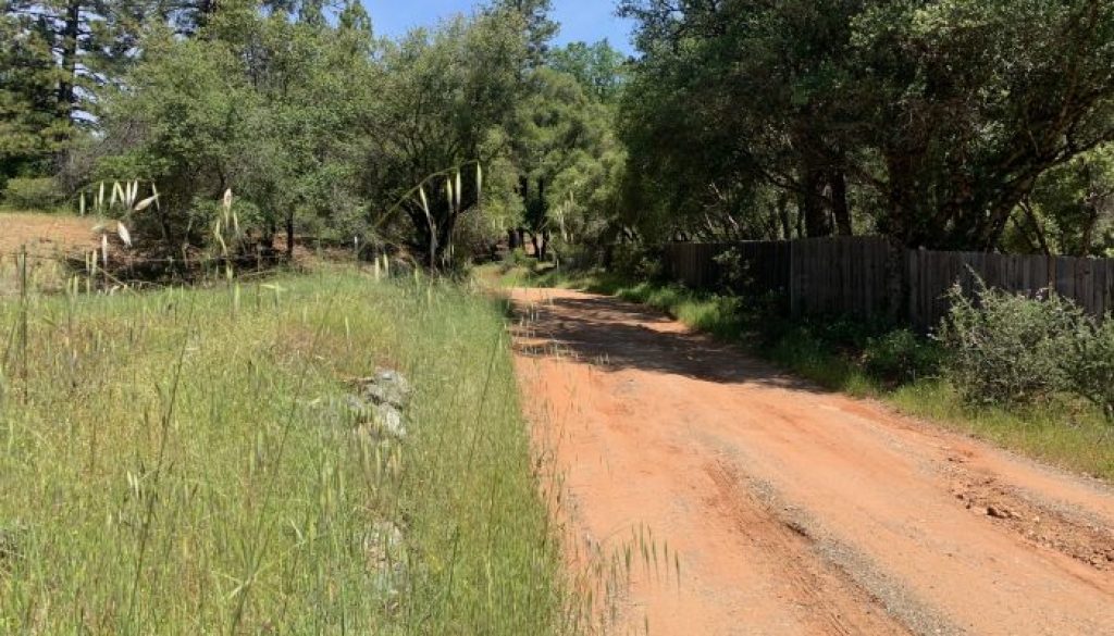 Dirt road replaced with gravel