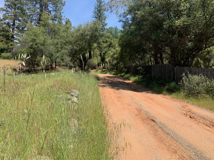 Dirt road replaced with gravel